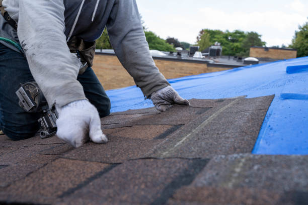Best Roof Replacement Cost  in Davenport, FL