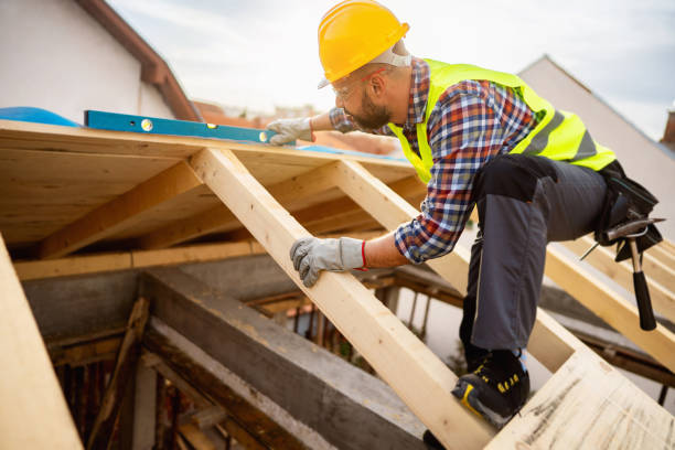 Best Roof Gutter Cleaning  in Davenport, FL