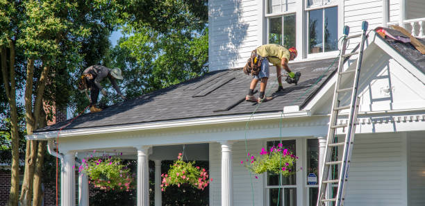 Best Gutter Installation and Roofing  in Davenport, FL
